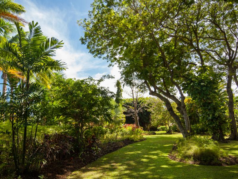 Mullins Mill , Mullins Bay , St Peter , West Coast Barbados  