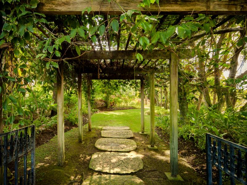 Mullins Mill , Mullins Bay , St Peter , West Coast Barbados  