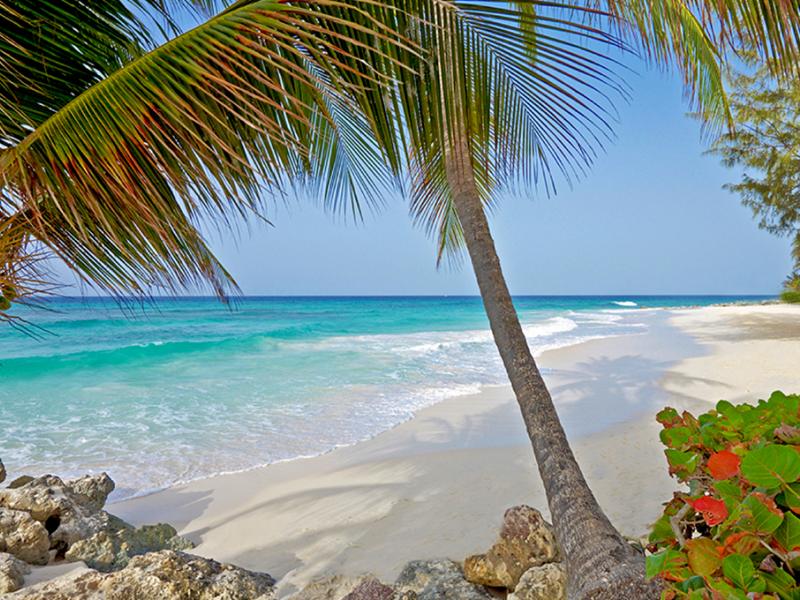 Turtle Beach , West Coast Barbados  