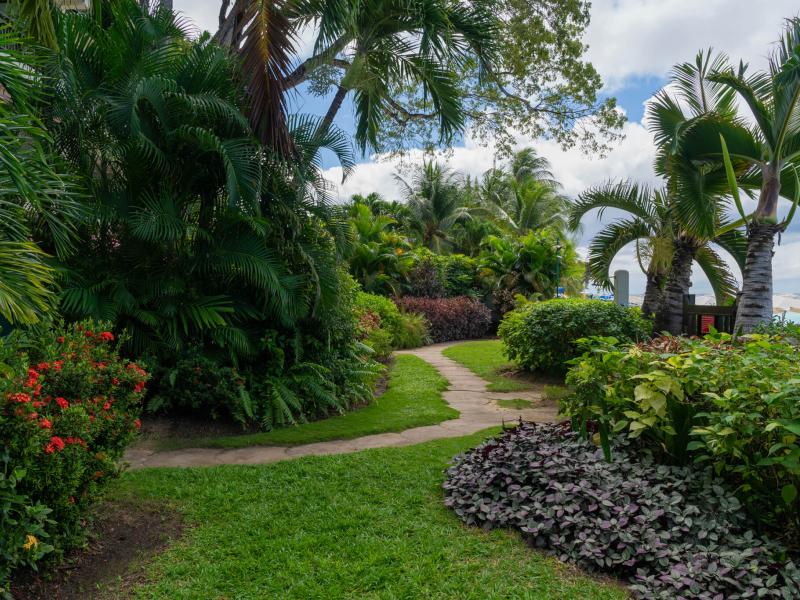 Coral Cove 10 , Coral Cove , Paynes Bay , West Coast Barbados  