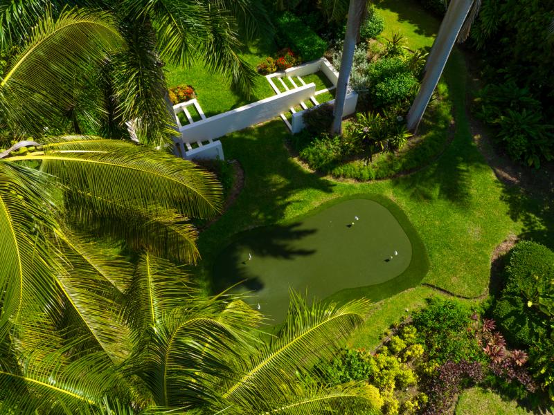 Sugar Hill - Illusion , St James , Sugar Hill , West Coast Barbados  