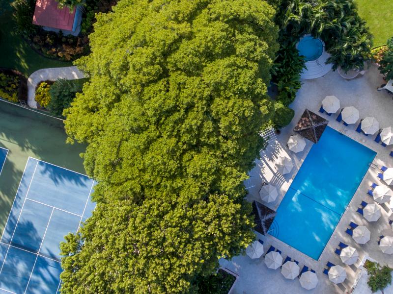 Fairmont Royal Pavilion  , St James , West Coast Barbados  