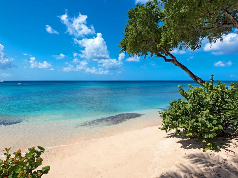 Mahogany Bay - Seashells  , Beachfront villas Barbados , Paynes Bay , St James , West Coast Barbados  